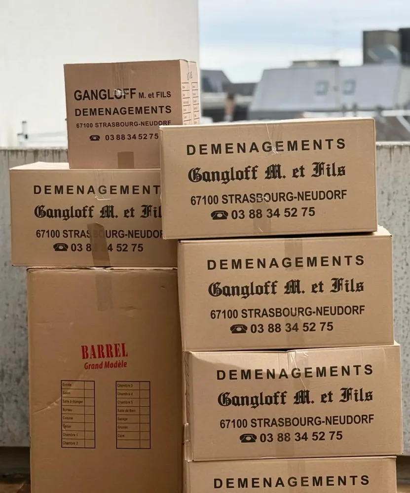 Carton déménagement